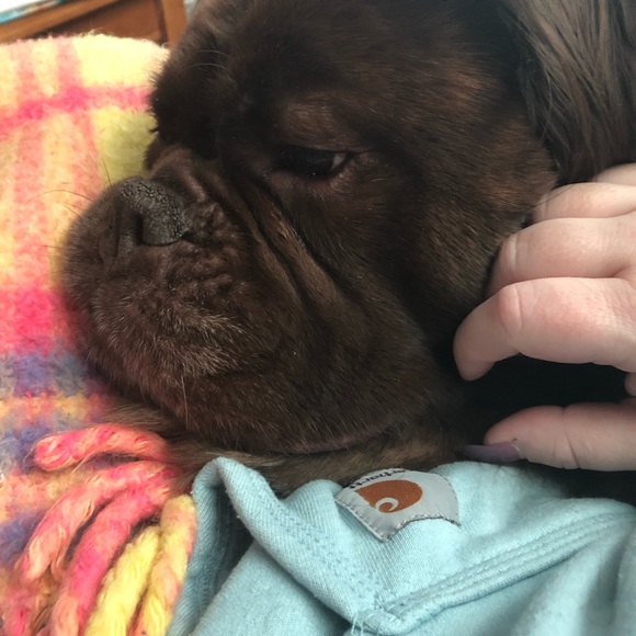 Meet your Posher, Alli - Picture 3 of 8